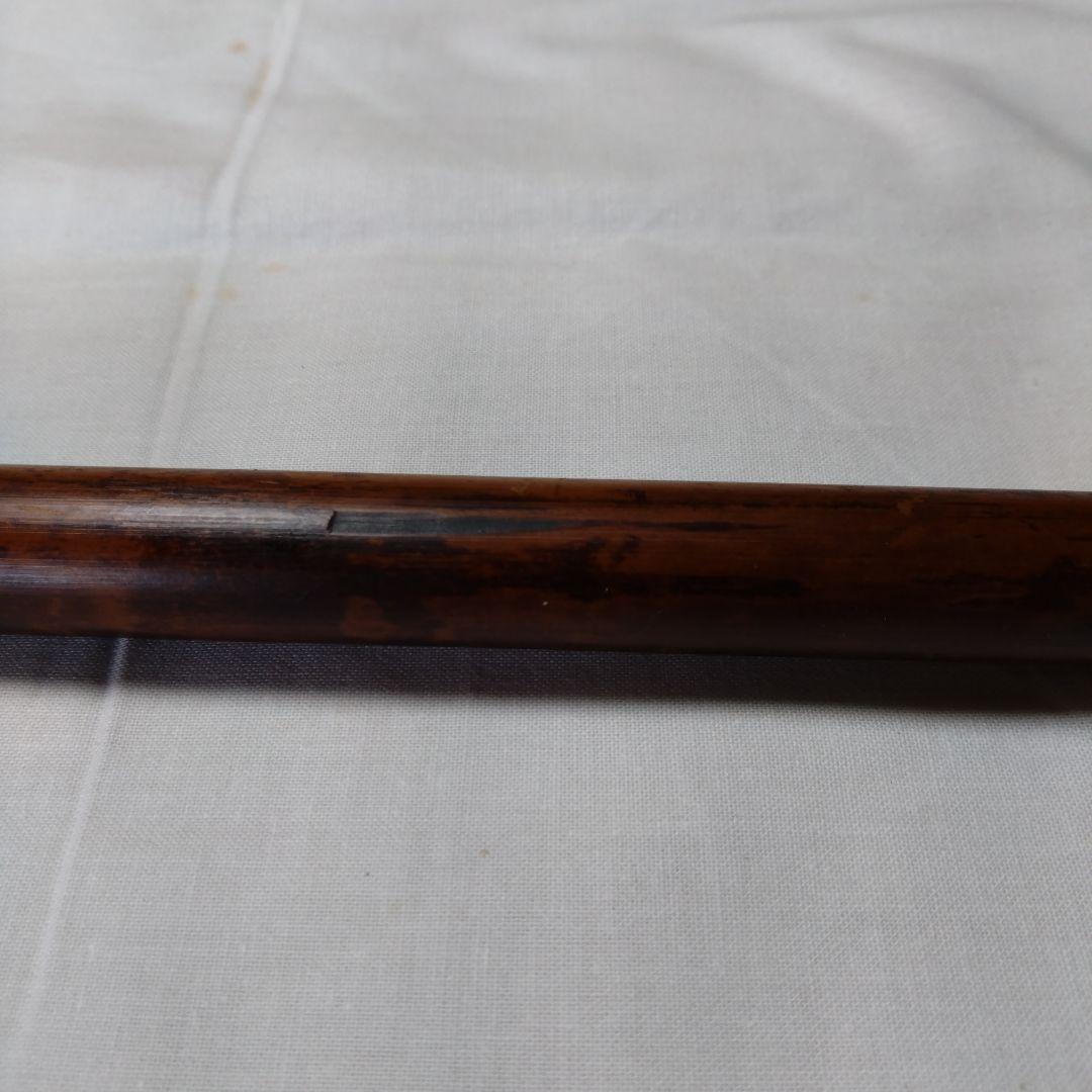 本煤竹　R8―J1