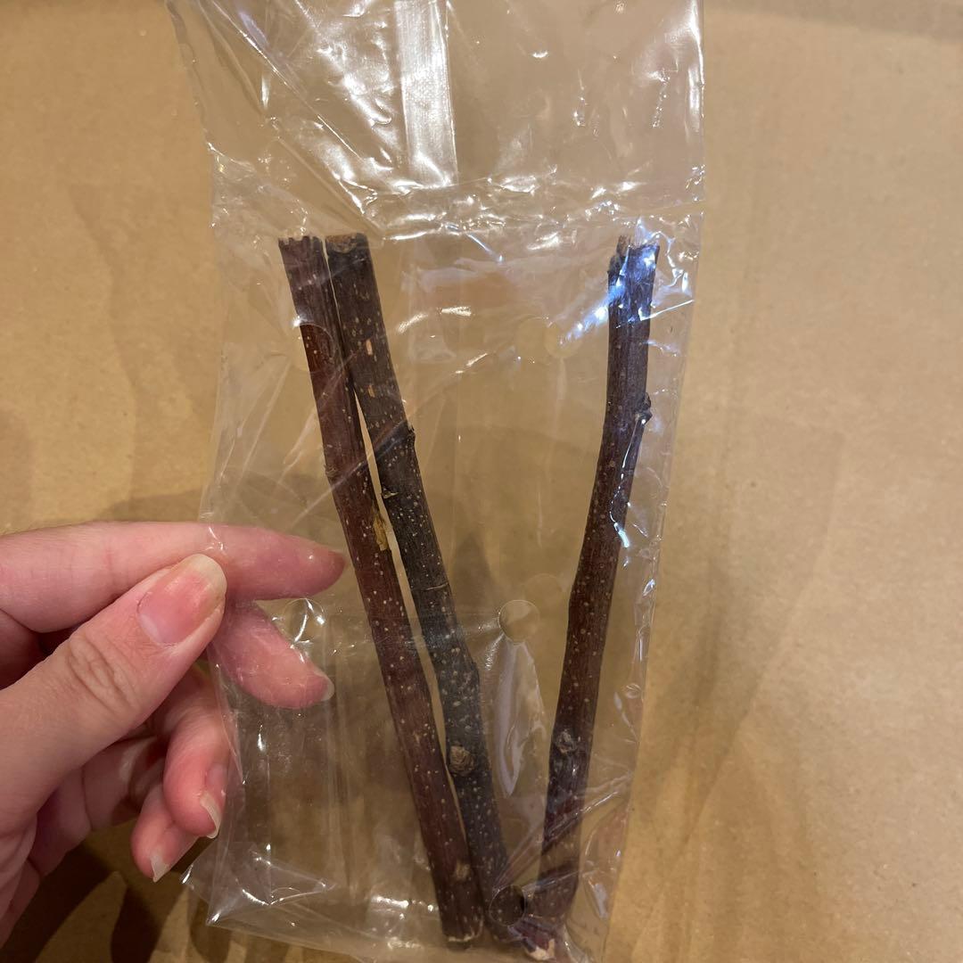 小動物用ケージとその他諸々セット