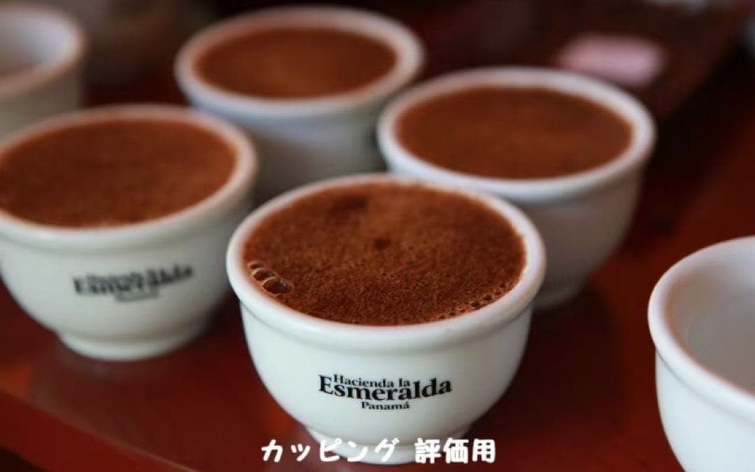 パナマ　エスメラルダ　ゲイシャ　プライベートコレクション　コーヒー豆・粉200g