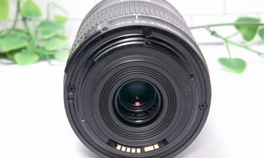 3月5日限定【望遠レンズ】Canon EF-S 55-250mm IS STM