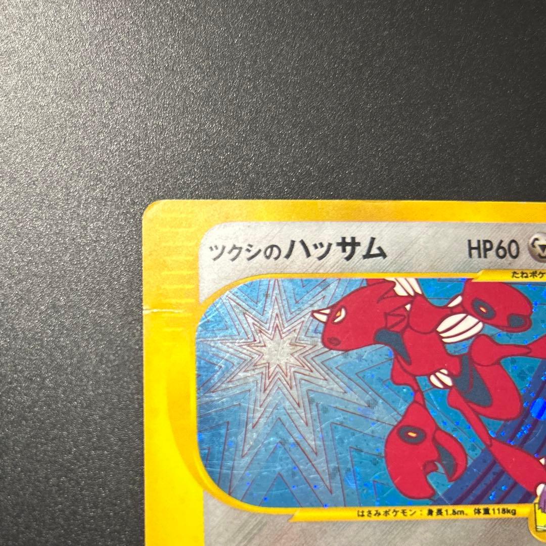 ツクシのハッサム　eシリーズ
