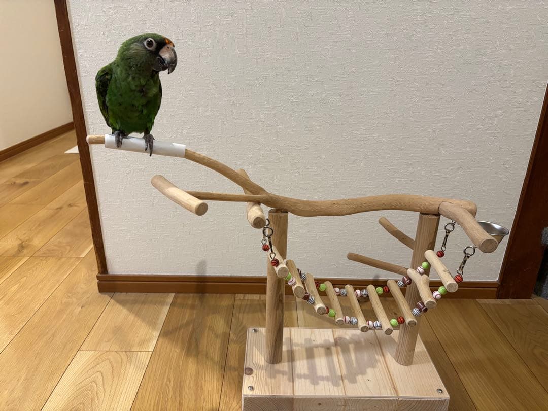 中型インコ用止まり木