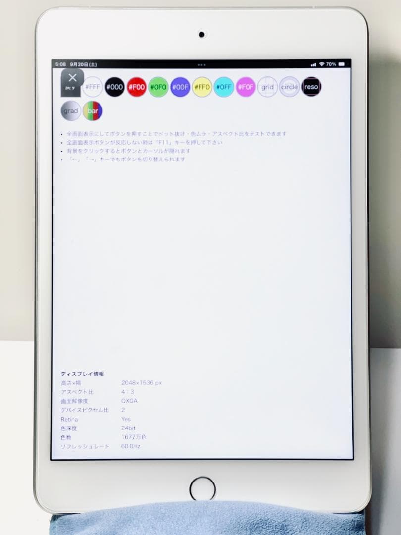 iPad mini 第5世代 Cellular 256GB シルバー 97%