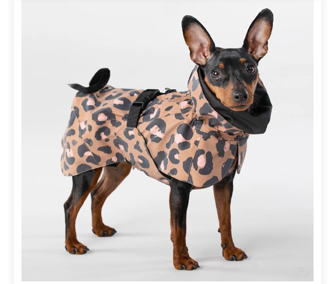 新品タグ付き★PAIKKAパイッカ★犬用レインコート