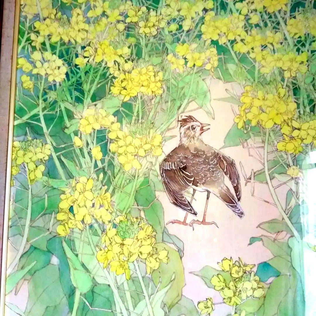 最終値下げ【水彩画花鳥】菜の花畑・ひばり鳥