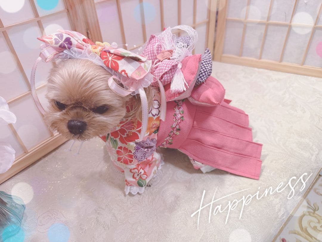 B468.pon2pan2☆犬オーダー2ウェイ袴☆犬袴☆犬お着物
