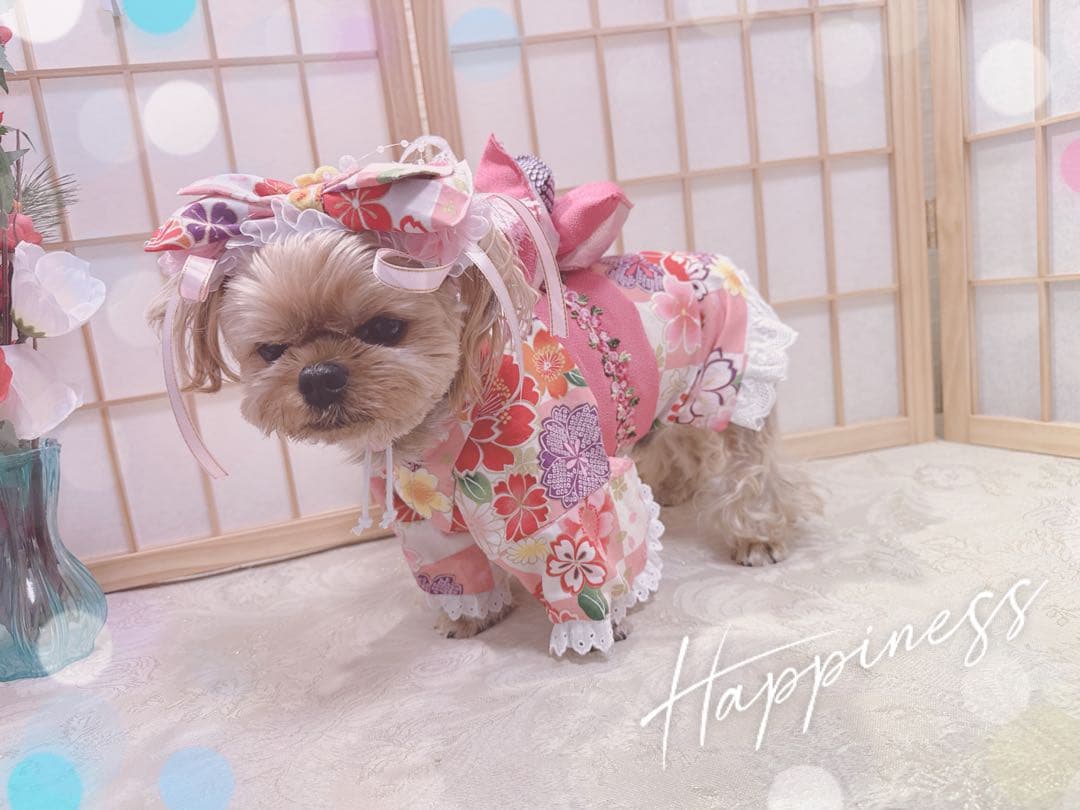 B468.pon2pan2☆犬オーダー2ウェイ袴☆犬袴☆犬お着物