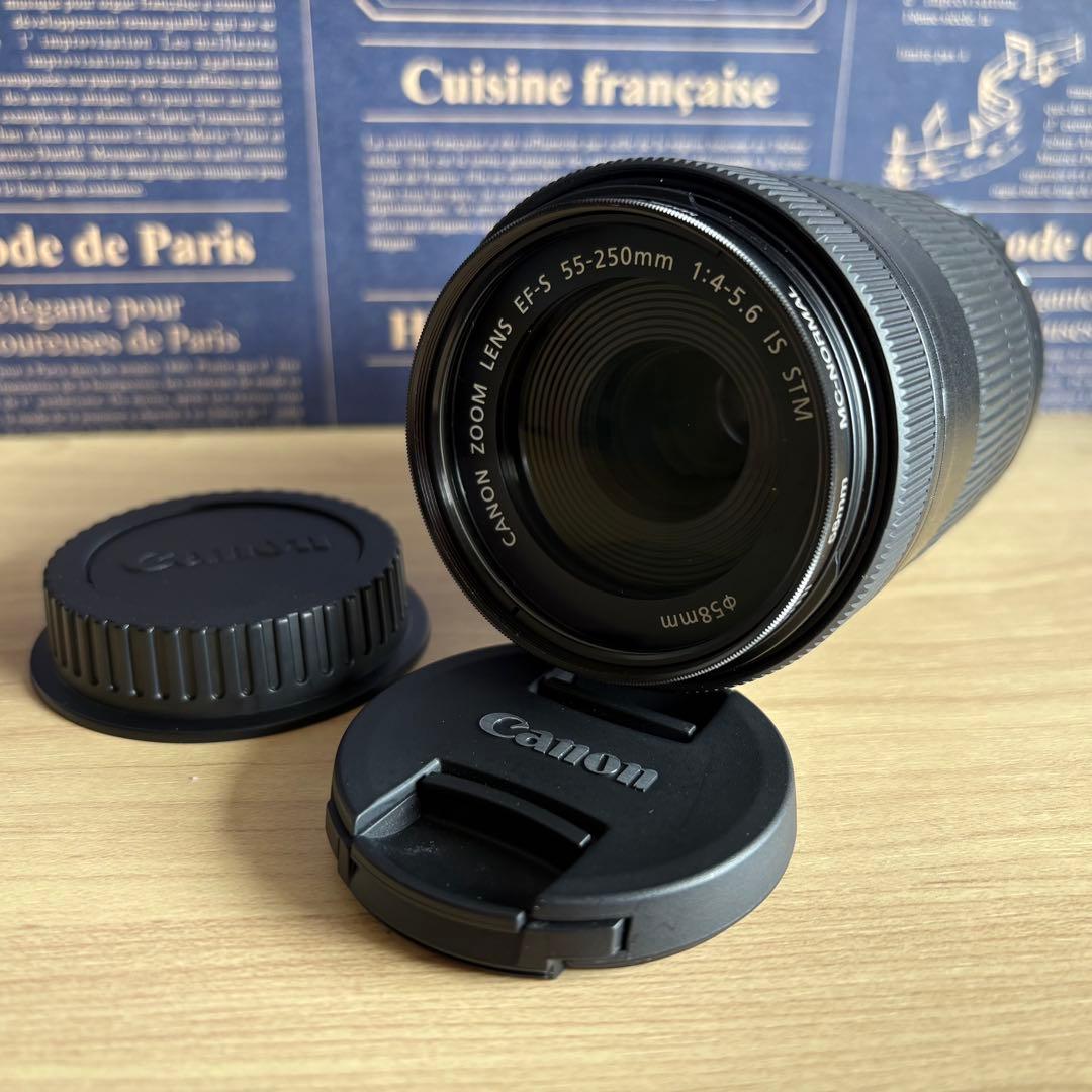 ❣️極美品❣️Canon EF-S 55-250mm STM望遠レンズ キャノン