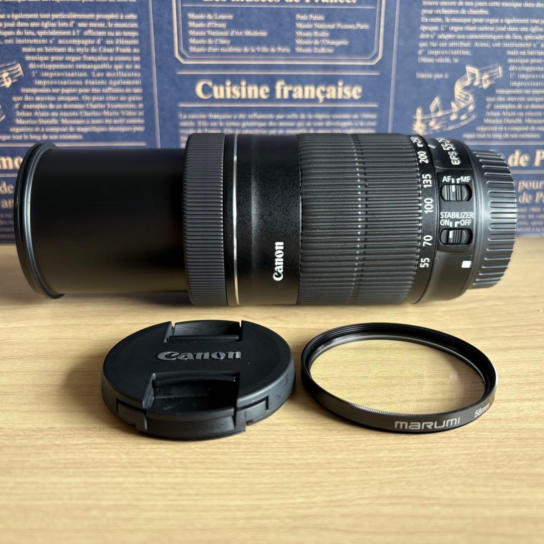 ❣️極美品❣️Canon EF-S 55-250mm STM望遠レンズ キャノン