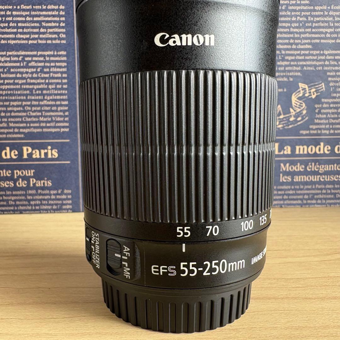❣️極美品❣️Canon EF-S 55-250mm STM望遠レンズ キャノン