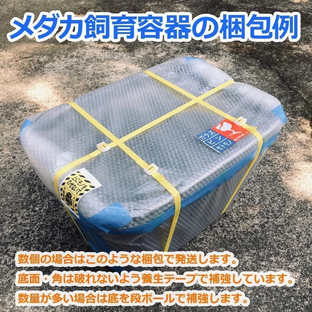 メダカ飼育ケース 60㍑x2個 トロ舟 オーバーフロー 金魚飼育容器 ビオトープ