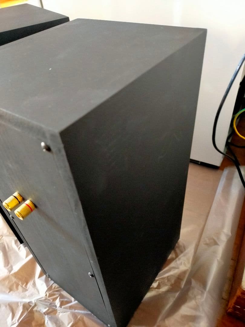 自作バックロードホーンスピーカー SONY LG
