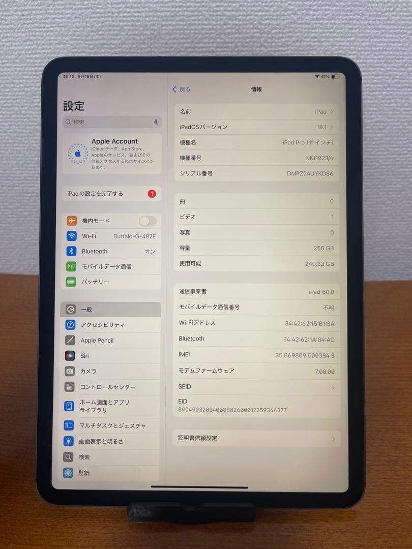 iPad Pro 11 (第1世代) 256GB SIM フリー