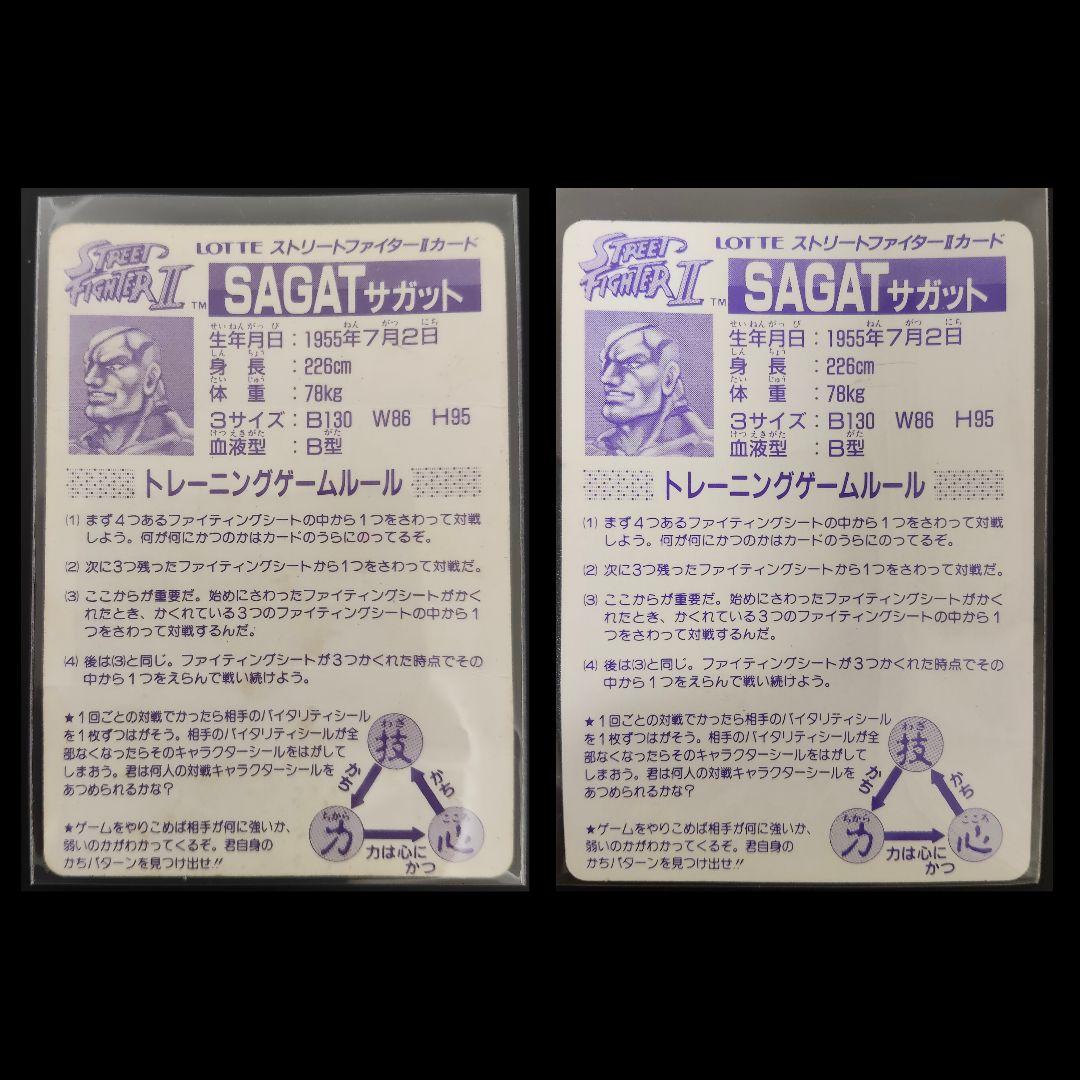 期間限定！ 超希少 全2種 サガット ストリートファイター カード
