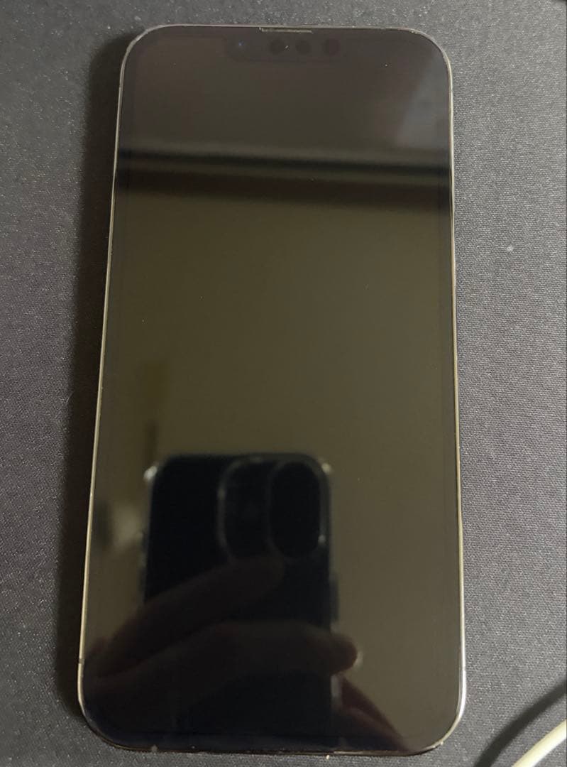 iPhone 13 Pro グラファイト 透明ケース付き