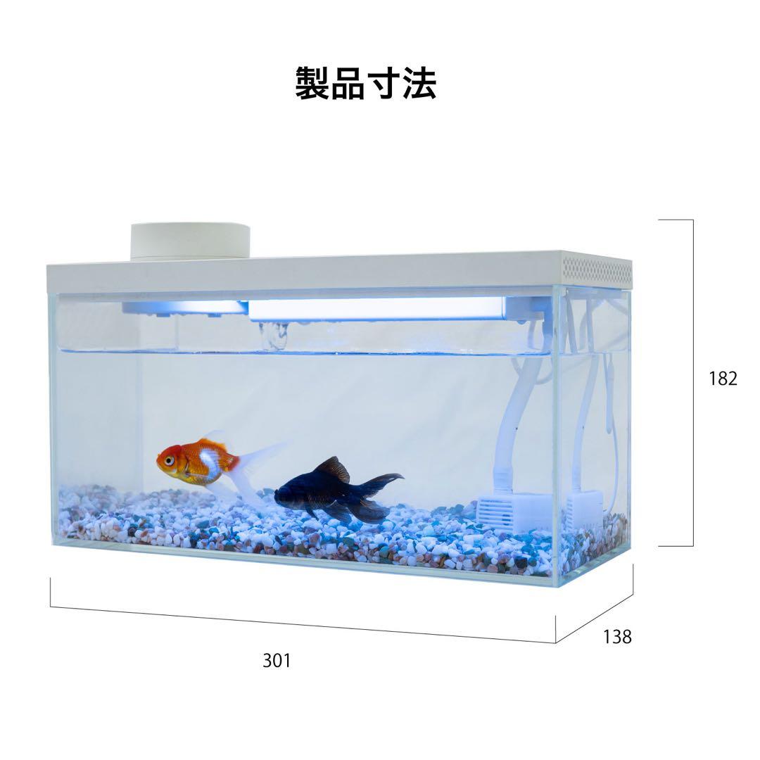 LED照明付きガラス水槽