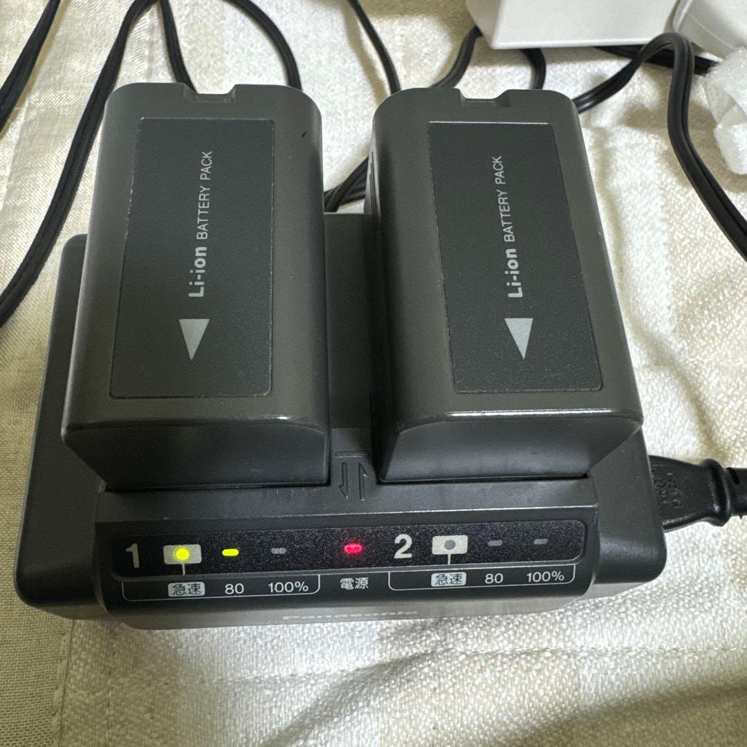 Panasonic ビデオカメラ NV-DS200