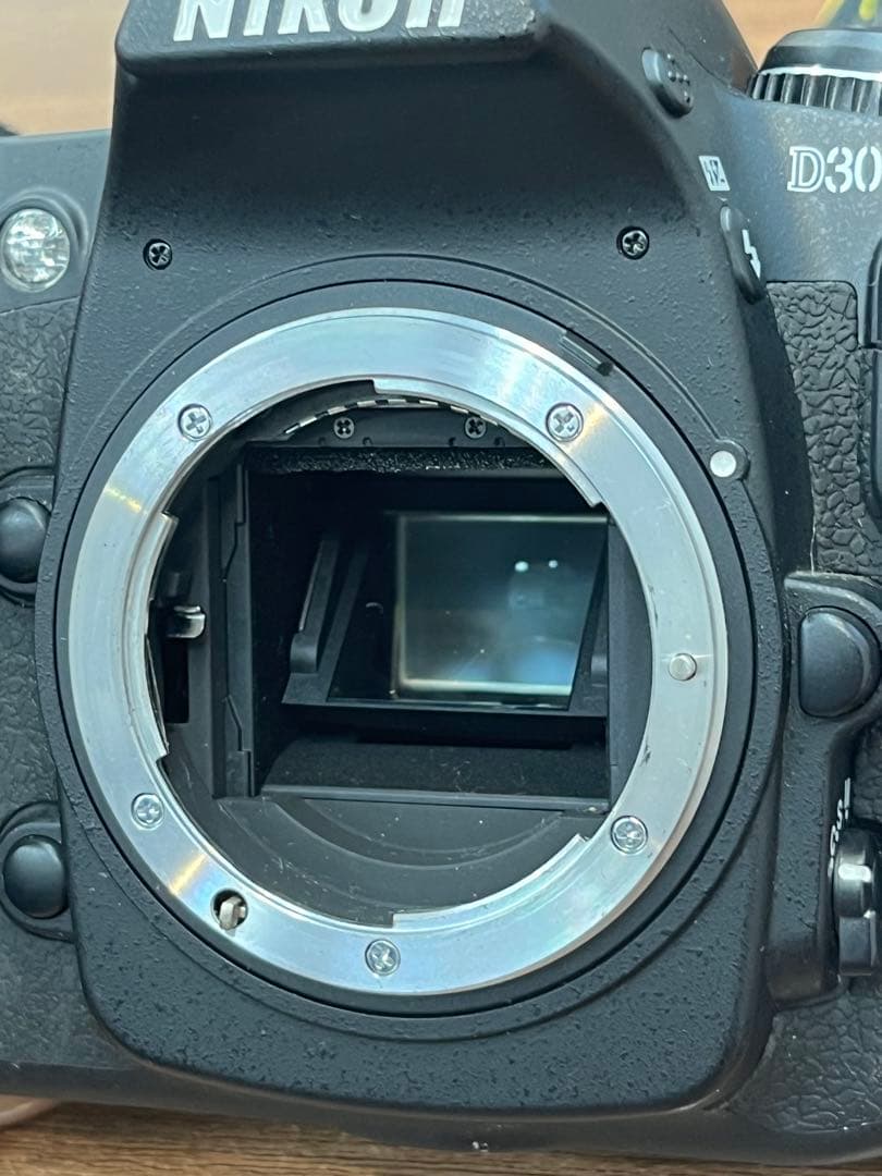 Nikon D300 デジタル一眼レフカメラ　動作確認OK 充電器ストラップあり