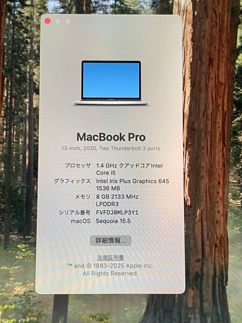 【美品】Apple　MacBook Pro 13-inc 2020 充放電25回