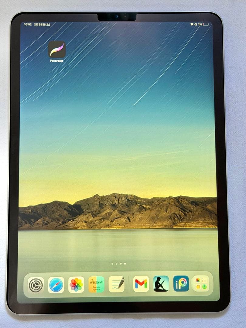 iPad Pro 11インチ 64GB Wi-Fi 美品 おまけ付