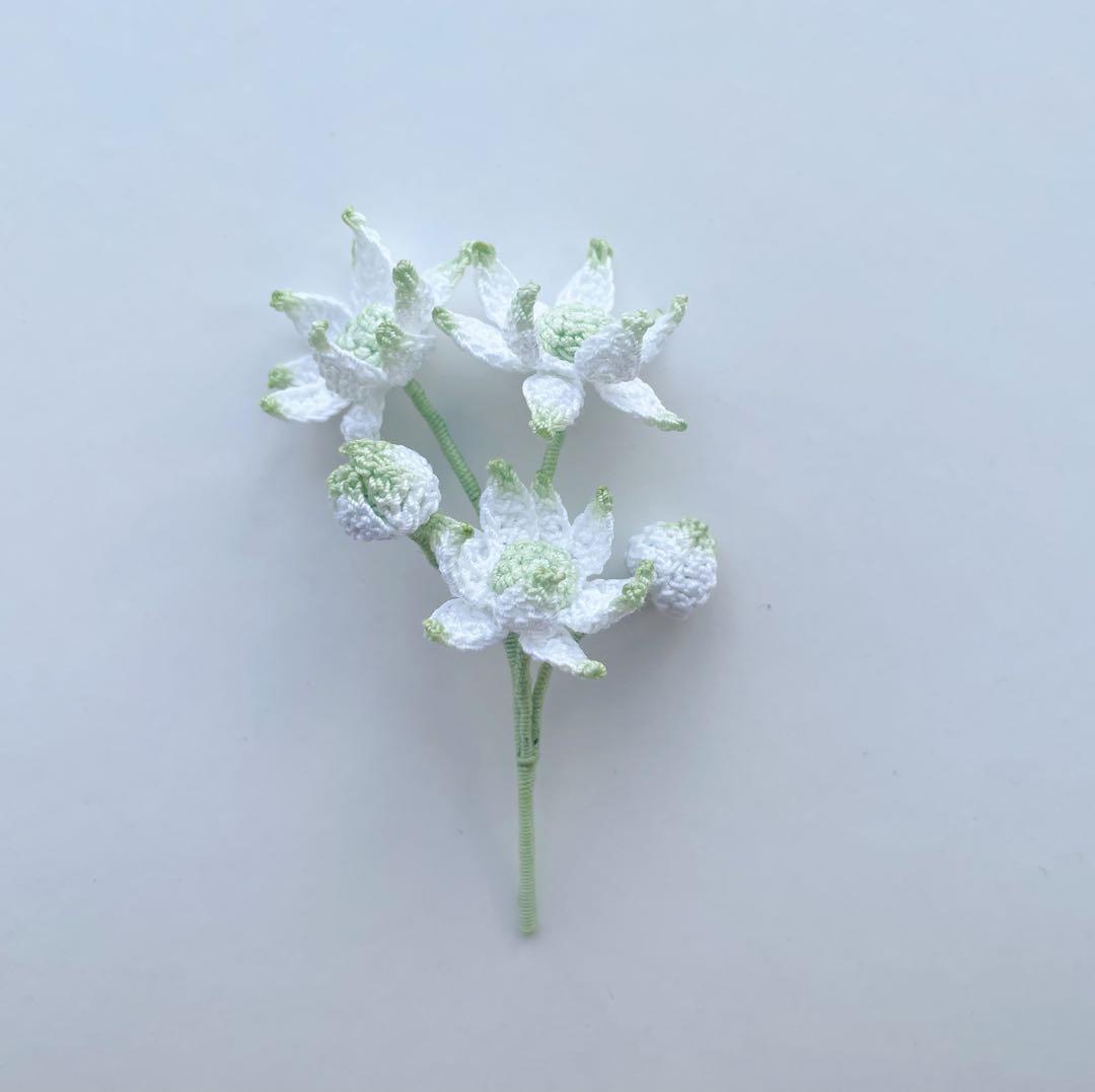 cocoaさま専用