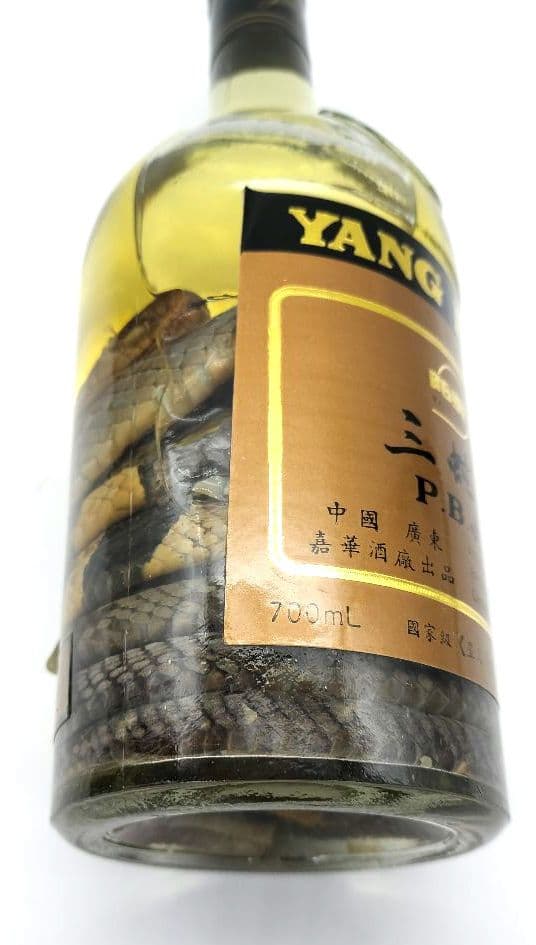古酒　三蛇酒　PBJB YANG LING 　中国酒　ヘビ　漢方 滋養強壮
