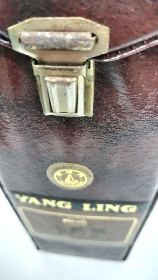 古酒　三蛇酒　PBJB YANG LING 　中国酒　ヘビ　漢方 滋養強壮