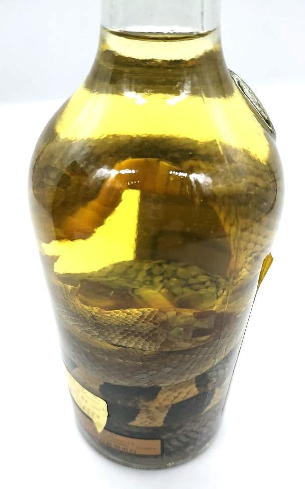 古酒　三蛇酒　PBJB YANG LING 　中国酒　ヘビ　漢方 滋養強壮