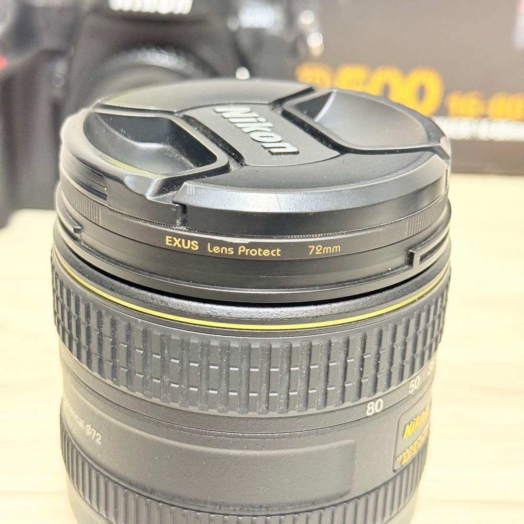 美品　Nikon D500 16-80 VR DX レンズキット