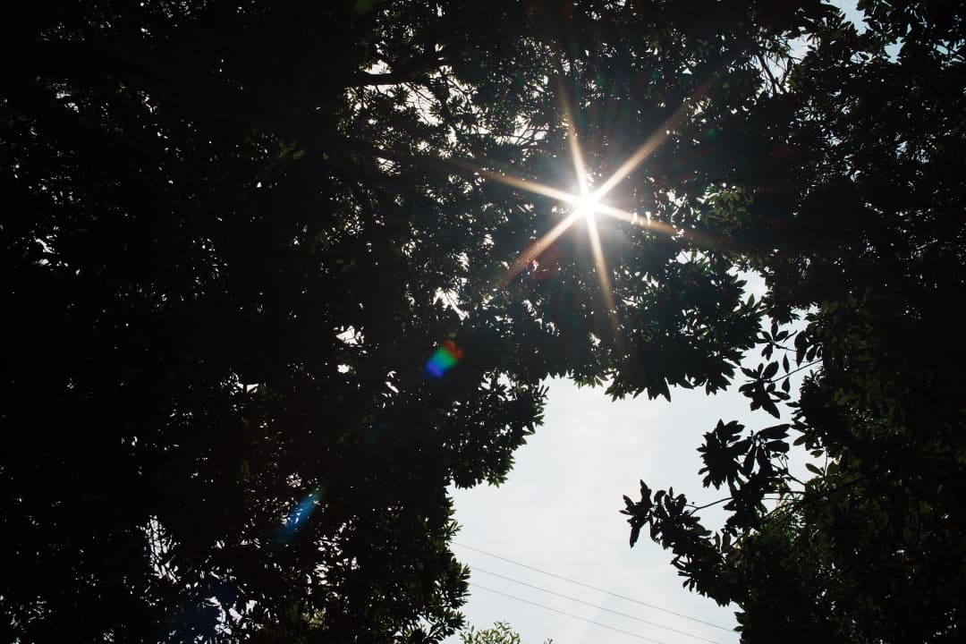 【希少 大口径】動作◎ SMC PENTAX-M 28mm F2 単焦点 566