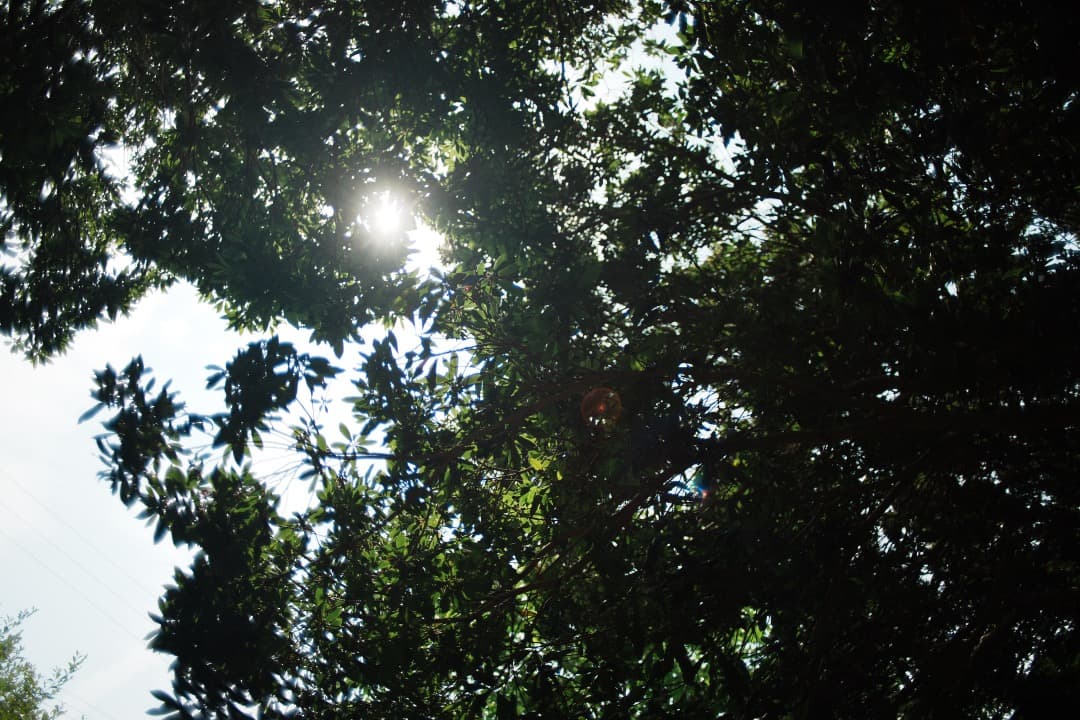 【希少 大口径】動作◎ SMC PENTAX-M 28mm F2 単焦点 566