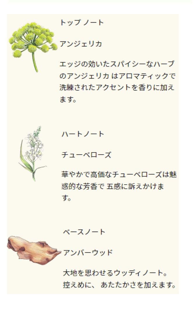 JO MALONE チューベローズ アンジェリカ50ml