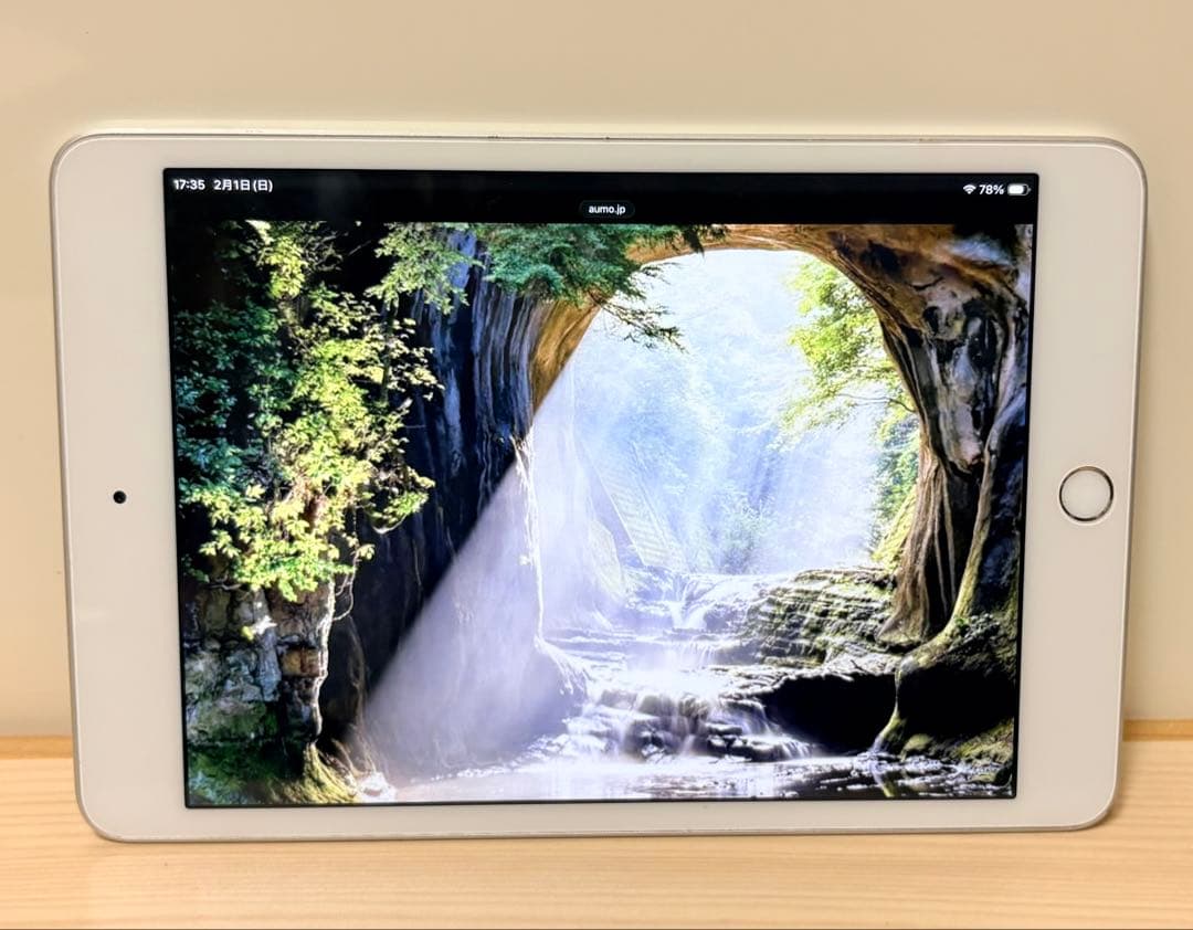 iPad mini 5 (第5世代) 64gb 美品