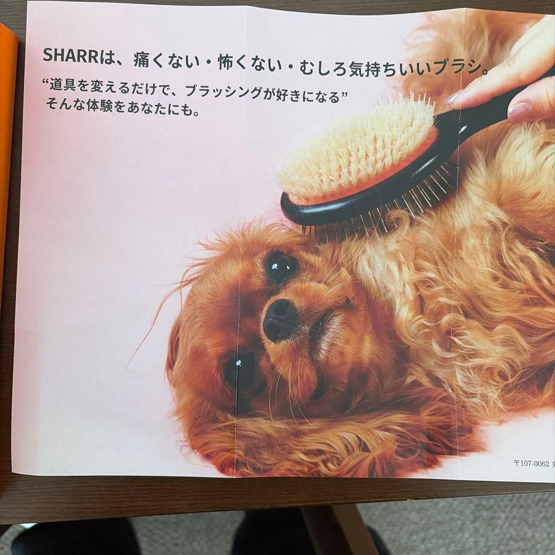 SHARRブラシ