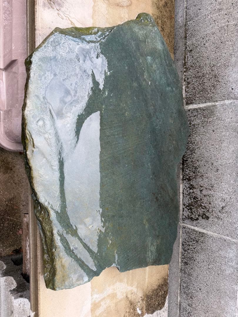 伊予石　青石　四国　平石　大型　鑑賞石　自然石　付け石　鞍馬　龍眼　竜岩　盆栽