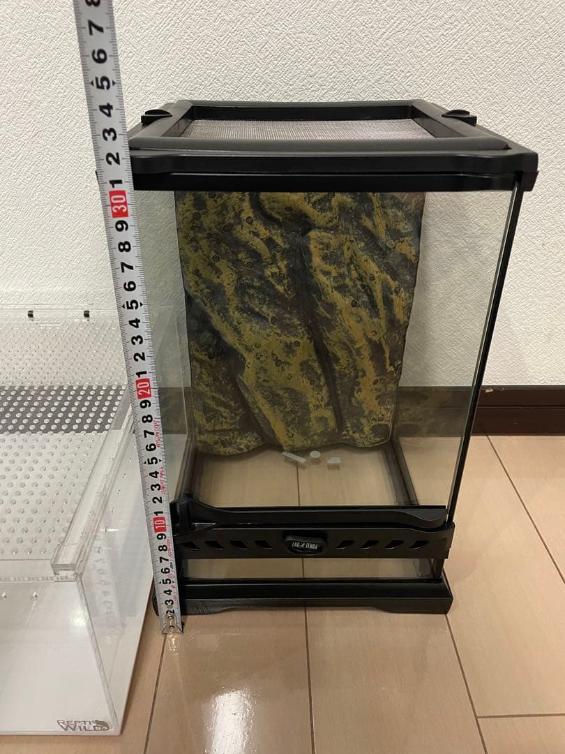 レプタイルボックス 2個& エキゾテラ グラステラリウム　セット