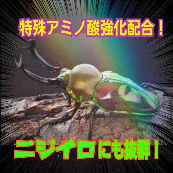 極上！ヒマラヤひらたけ菌糸ブロック【5個】トレハロース強化配合！オオクワに抜群！
