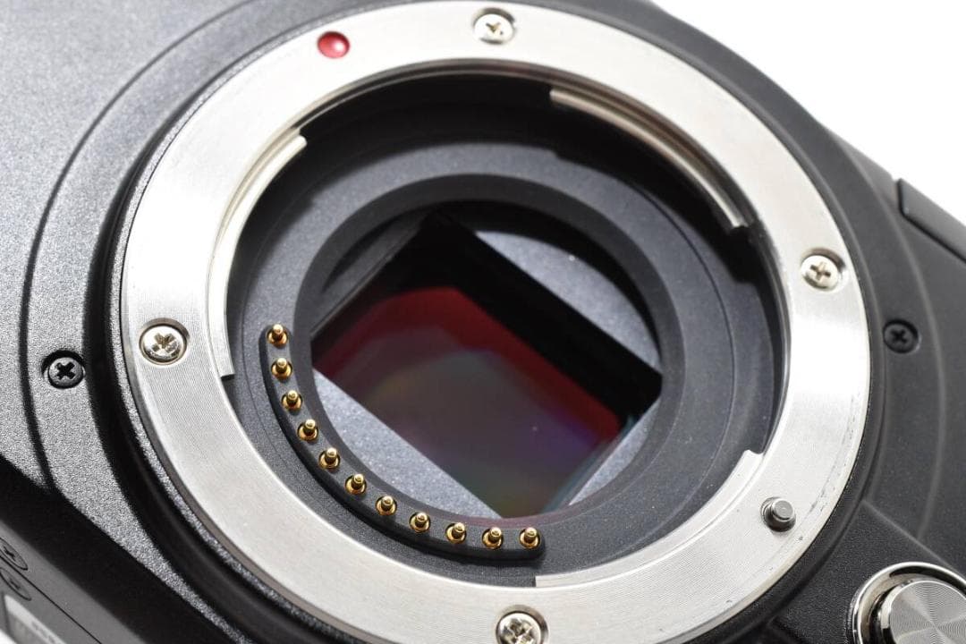 パナソニック PANASONIC LUMIX DMC-GF1 ボディ #1410