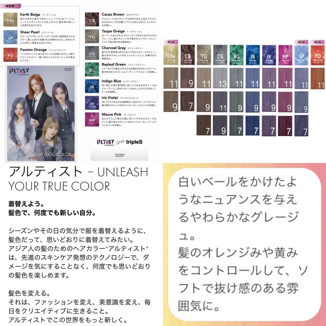資生堂 アルティスト⑪グレージュとシャンプー 茶【ブリーチとセット合計5%割引A