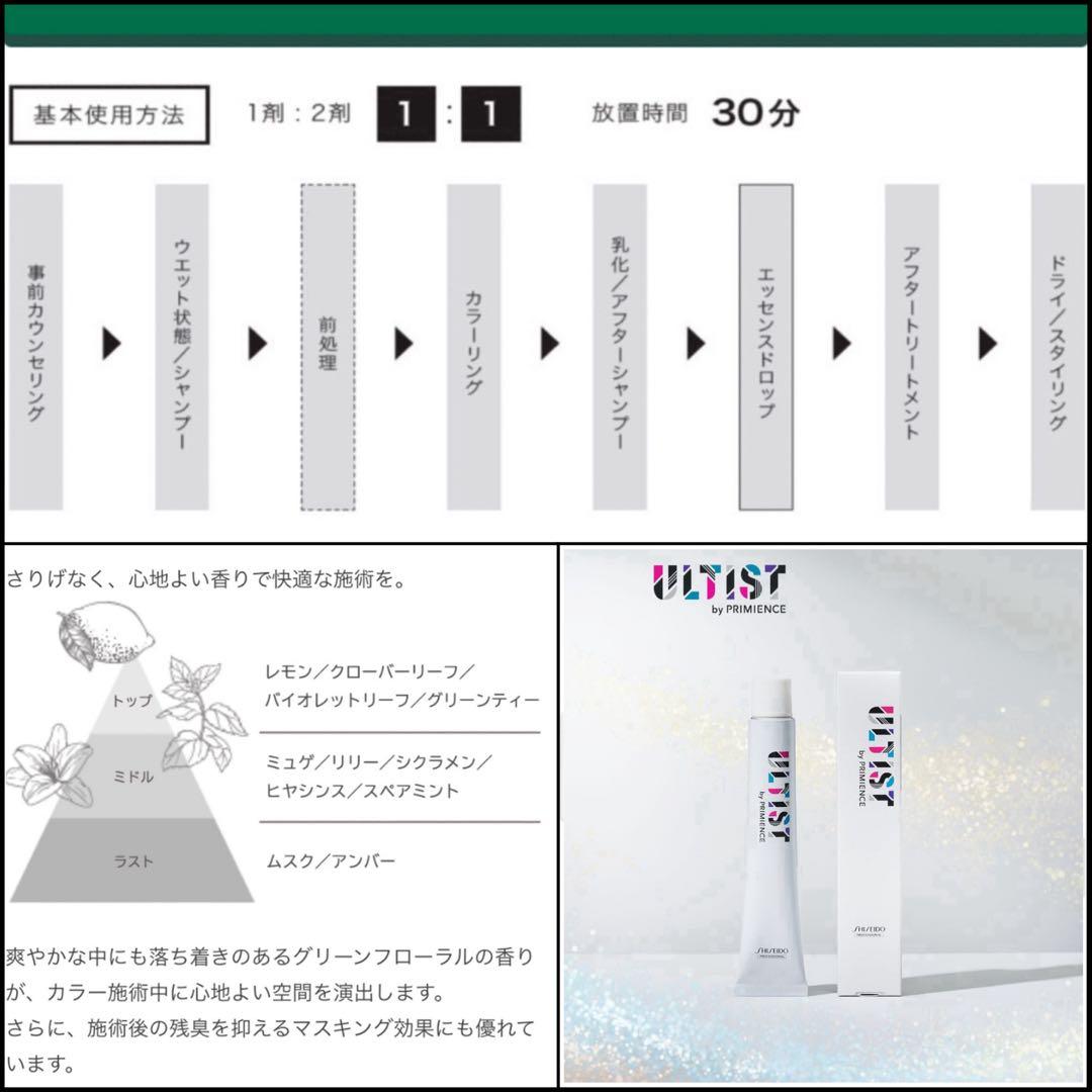 資生堂 アルティスト⑪グレージュとシャンプー 茶【ブリーチとセット合計5%割引A