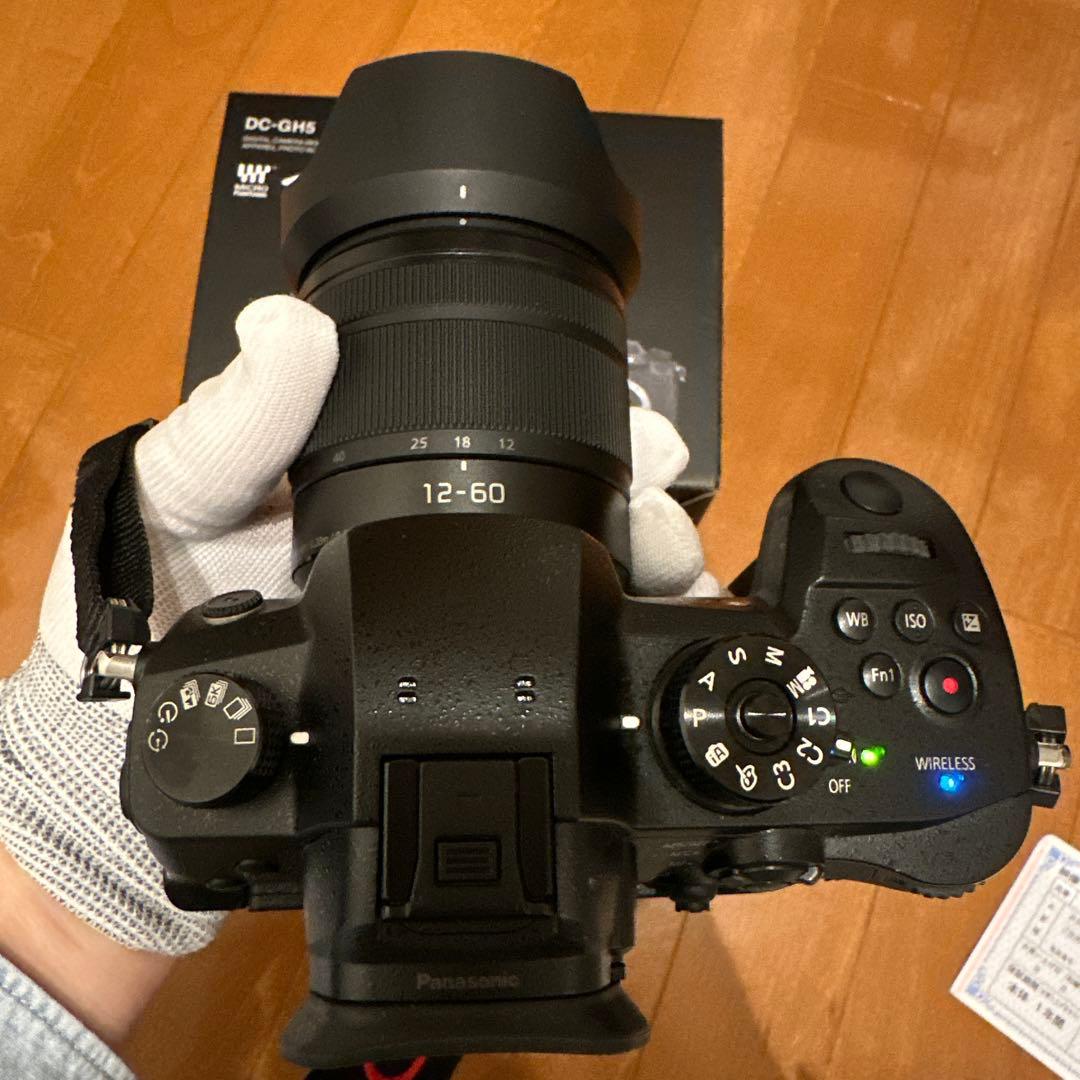Panasonic GH-5M, H-FS12060 セット