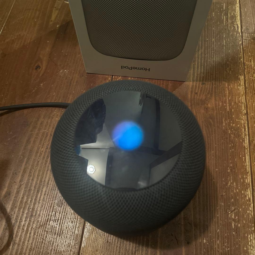 Apple Pod 第1世代 スマートスピーカー スペースグレイ
