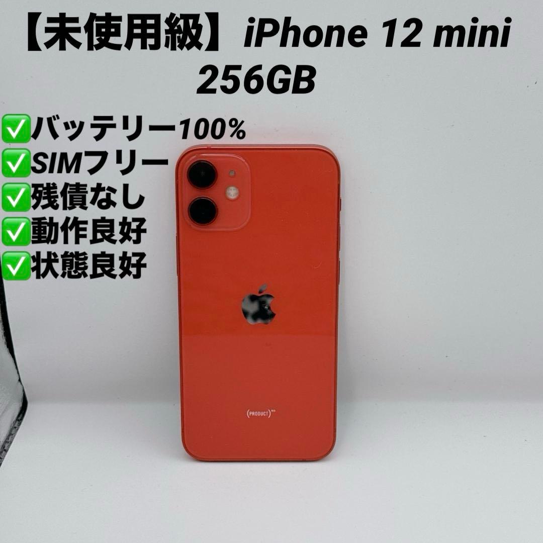 専用予約済み【未使用級】iPhone 12 mini 256GB SIMフリー