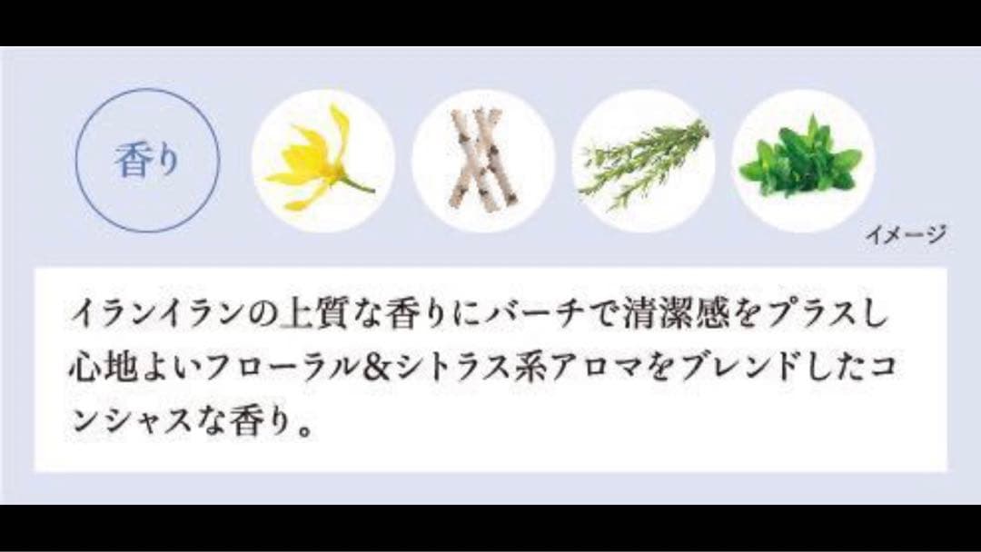 １名様特別　セルサート　ミラインシャンプー＆トリートメント　1L  スパリビット