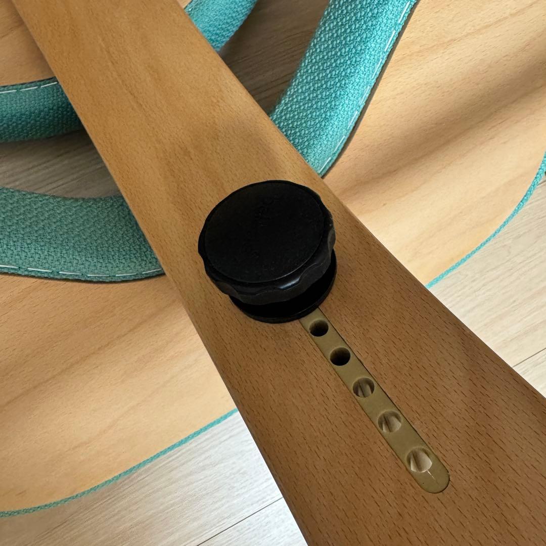 【美品】バランスイージー ライトグリーン カバー付 バランスラボ