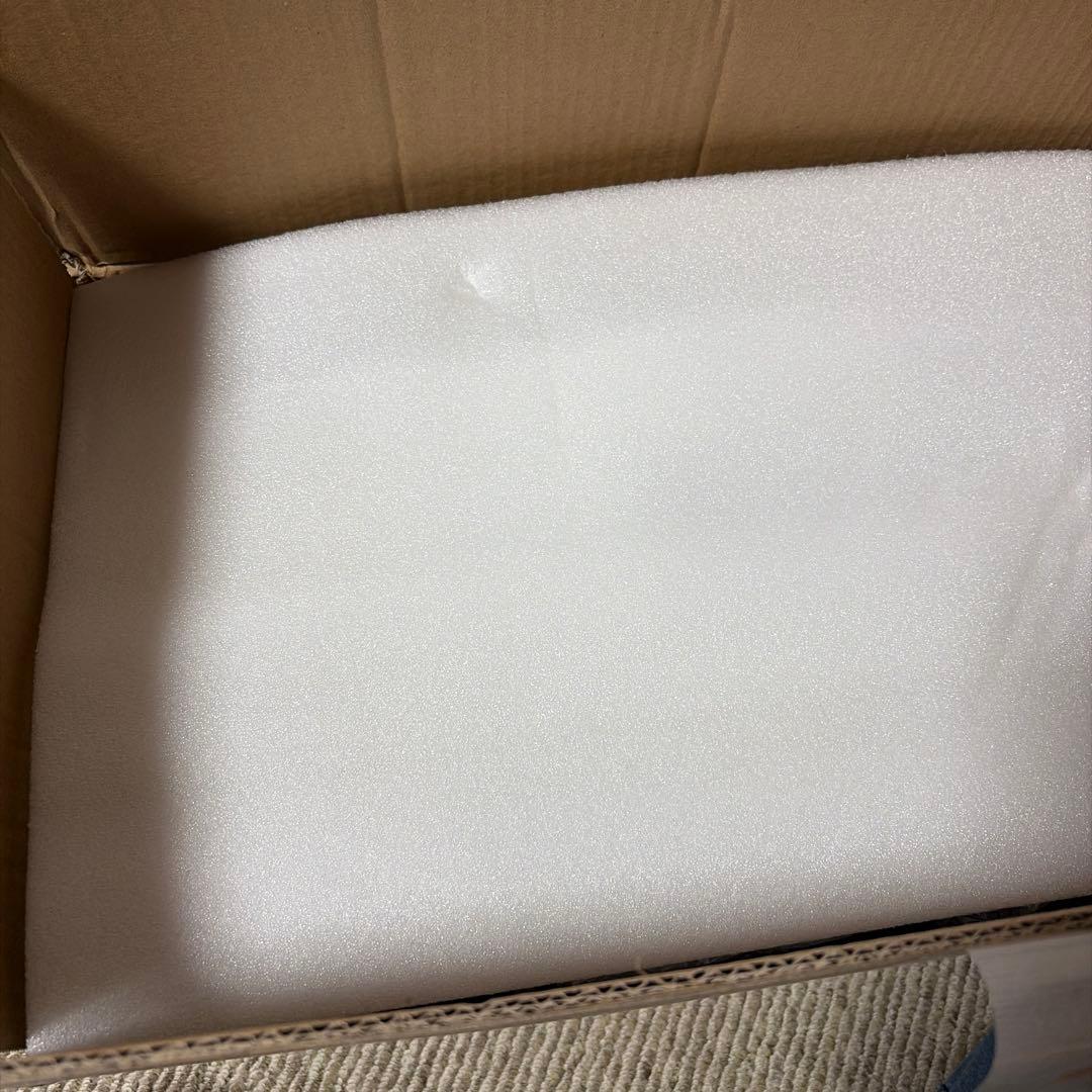 新年SALE新品未使用♡ Waitbirdスチームクリーナー STC-EU168