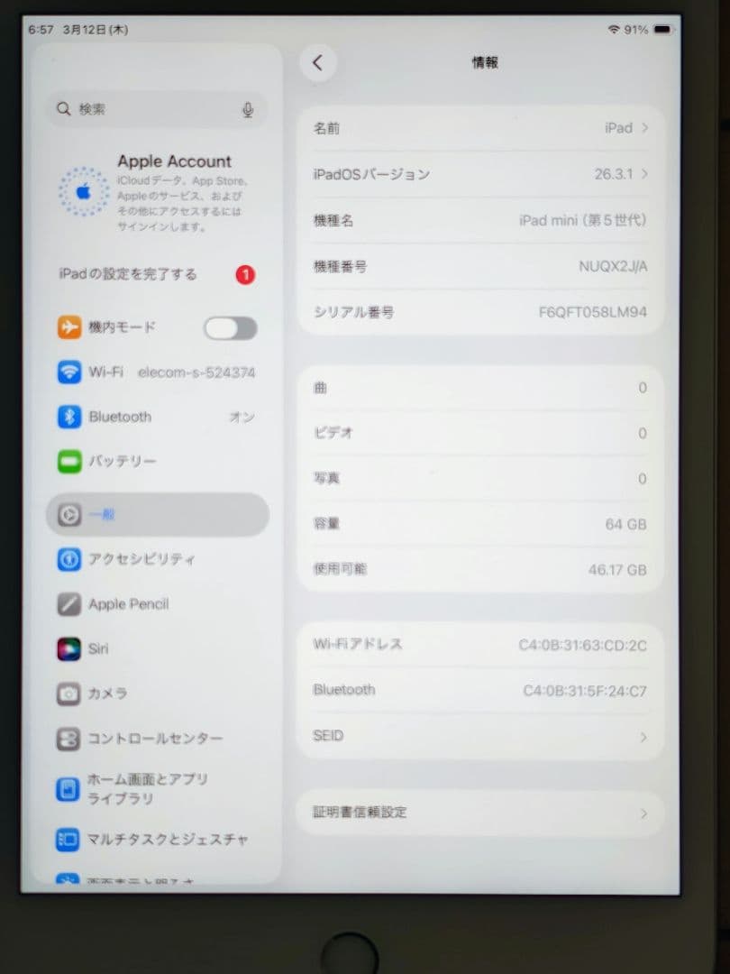 バッテリー 100% 【iPad mini 5世代 64GB WiFi】