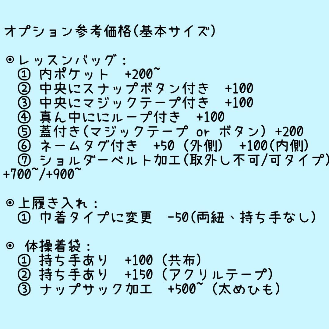 入園 入学 ☆レッスンバッグ　オーダー 受注注文 男の子　《恐竜　ダイナソー》