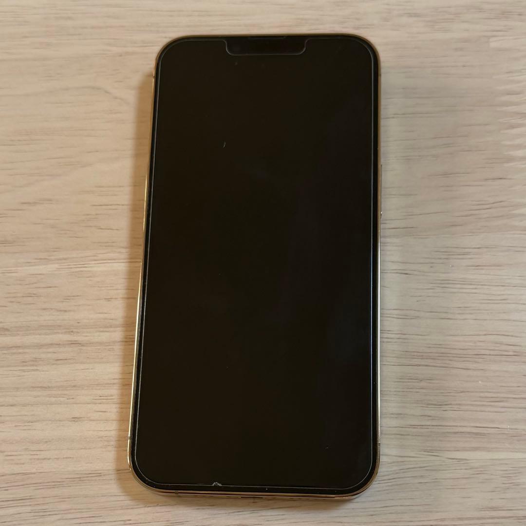 Apple iPhone13Pro 256GB SIMフリー本体充電ケーブル付き