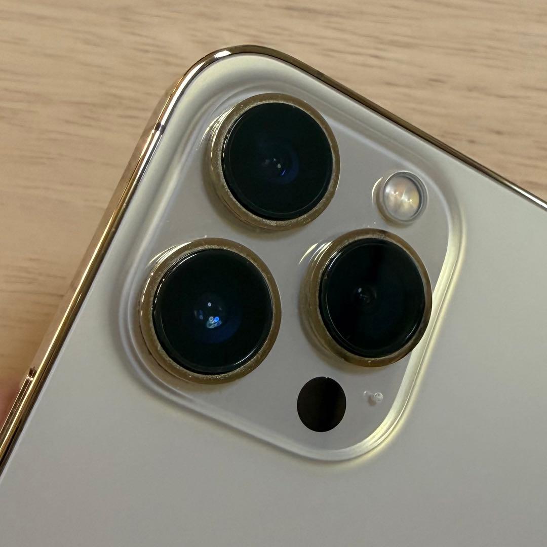 Apple iPhone13Pro 256GB SIMフリー本体充電ケーブル付き